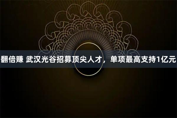 翻倍赚 武汉光谷招募顶尖人才，单项最高支持1亿元