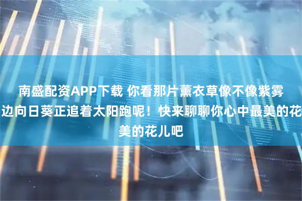南盛配资APP下载 你看那片薰衣草像不像紫雾？旁边向日葵正追着太阳跑呢！快来聊聊你心中最美的花儿吧