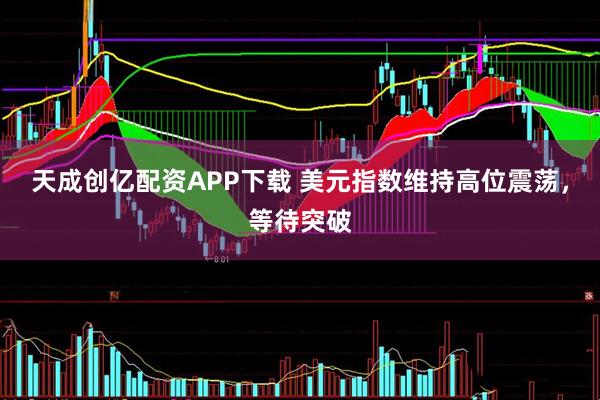 天成创亿配资APP下载 美元指数维持高位震荡，等待突破